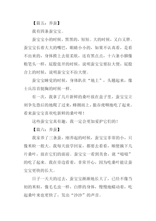 关于养蚕的作文.docx