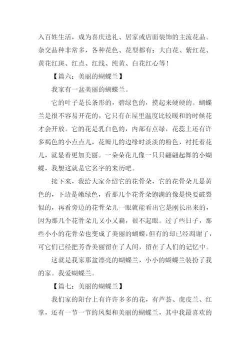 美丽的蝴蝶兰作文200字.docx