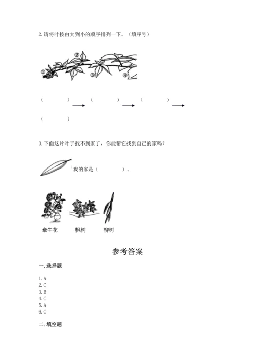 教科版科学一年级上册第一单元《植物》测试卷附参考答案【培优】.docx