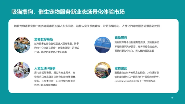 2022年中国宠物消费调研报告