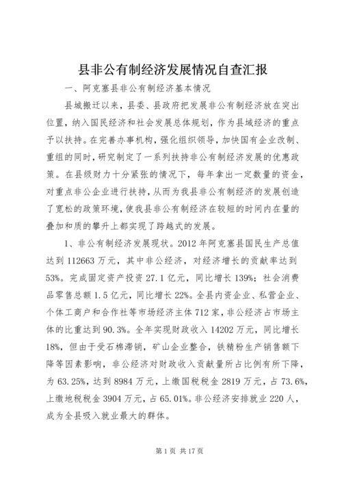 县非公有制经济发展情况自查汇报.docx