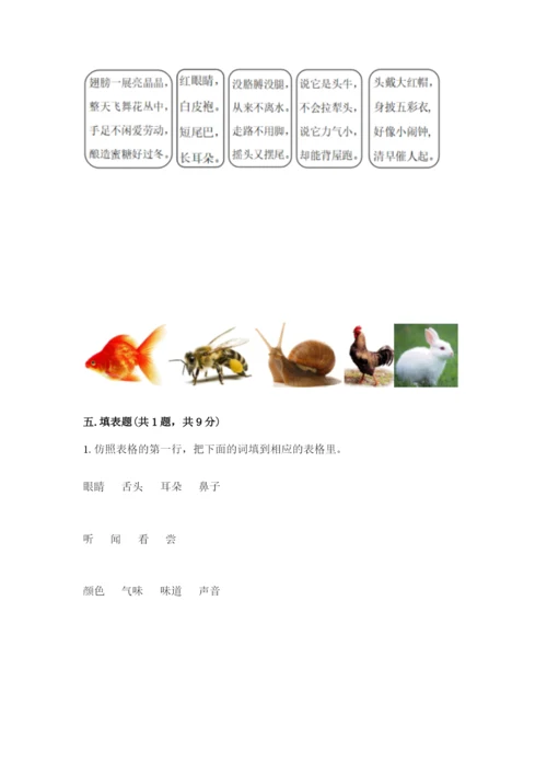 教科版一年级下册科学期末测试卷附答案（培优a卷）.docx