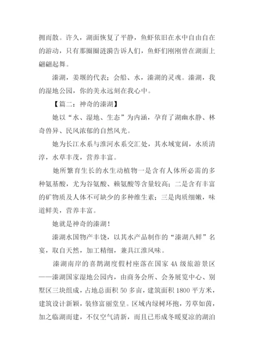 关于溱湖的作文-1.docx