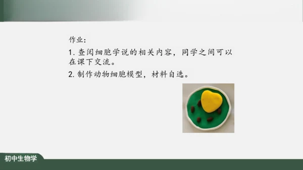2.1.3 动物细胞 课件（共32张PPT）