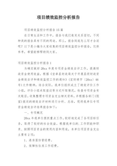 项目绩效监控分析报告.docx