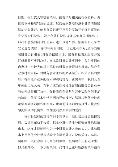 会计个人实习总结通用版