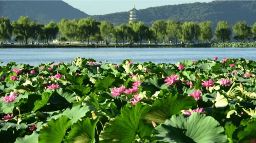 15 《古诗二首》（第一课时）——《晓出净慈寺送林子方》  课件