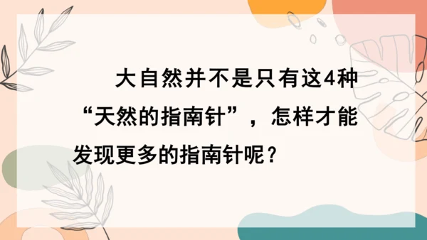 17 《要是你在野外迷了路》（第二课时） 课件