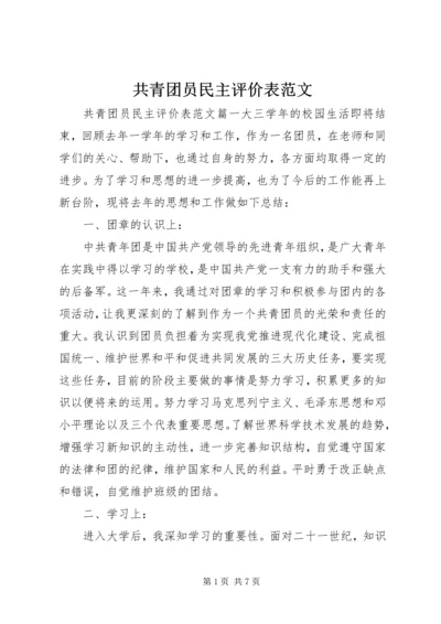 共青团员民主评价表范文.docx