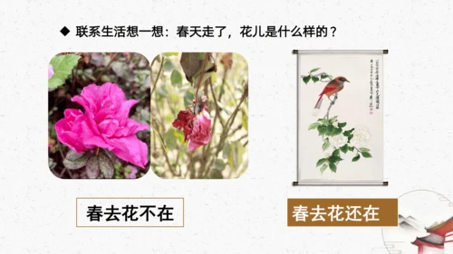 识字6+画+（教学课件）