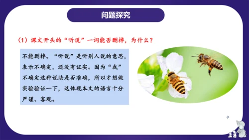 统编版三年级语文下学期期中核心考点集训第四单元（复习课件）