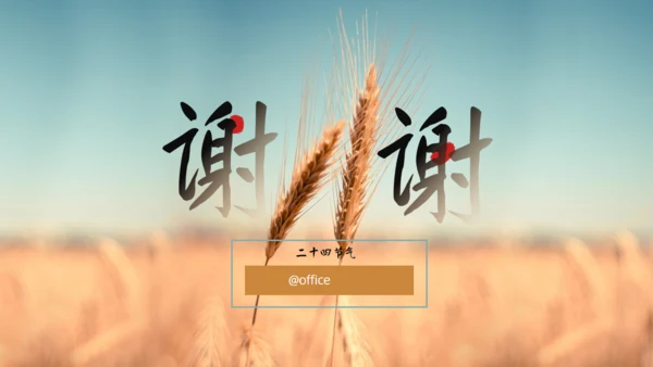 金色麦穗二十四节气之芒种通用PPT模板