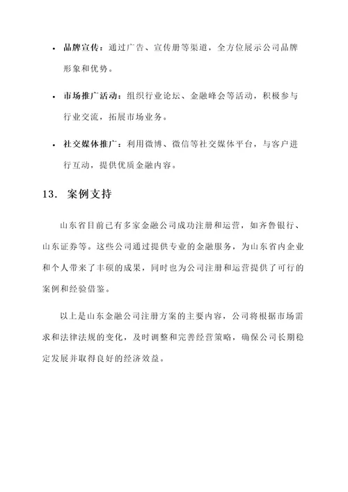 山东金融公司注册方案