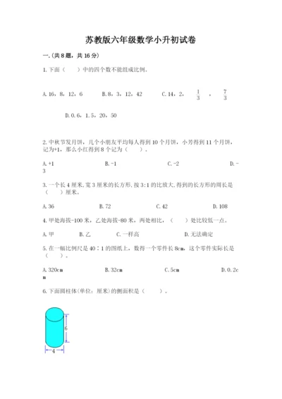 苏教版六年级数学小升初试卷（轻巧夺冠）.docx