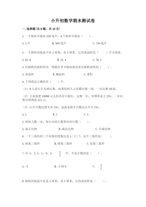 小升初数学期末测试卷审定版.docx