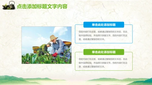 绿茶产品介绍茶叶茶文化春茶紫砂壶PPT