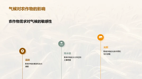 小满季节粮食科学管理