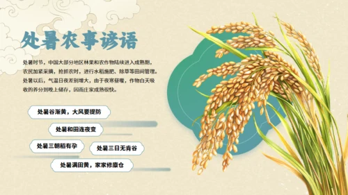 处暑－24节气课件通用PPT模板