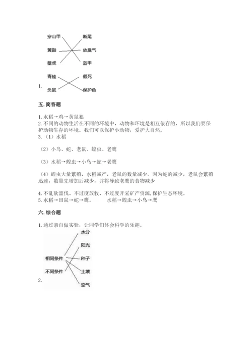 教科版科学五年级下册第一单元《生物与环境》测试卷带答案（实用）.docx