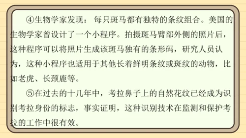 统编版语文四年级上册主题八　科技展望 阅读与写作指导课件