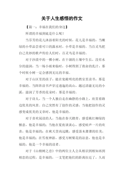 关于人生感悟的作文-1.docx