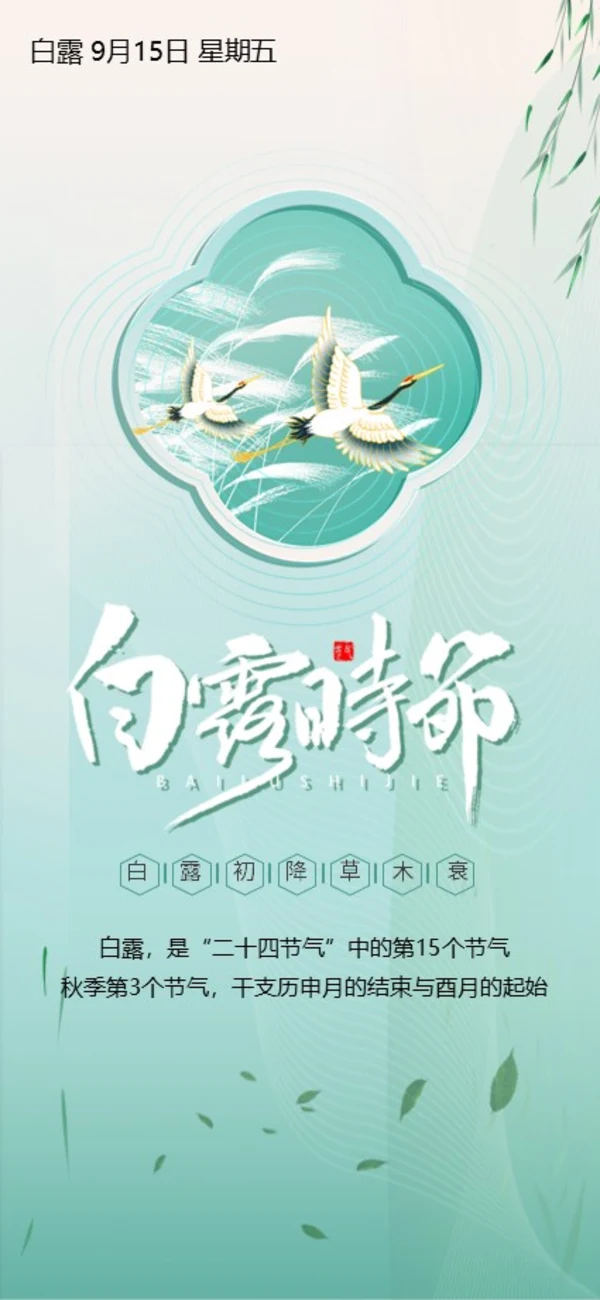 白露节气二十四节气知识手机竖版PPT课件