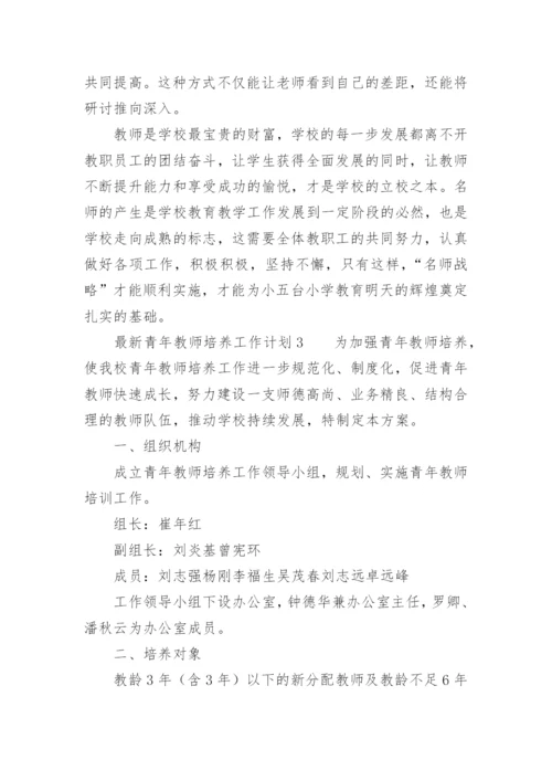 最新青年教师培养工作计划.docx