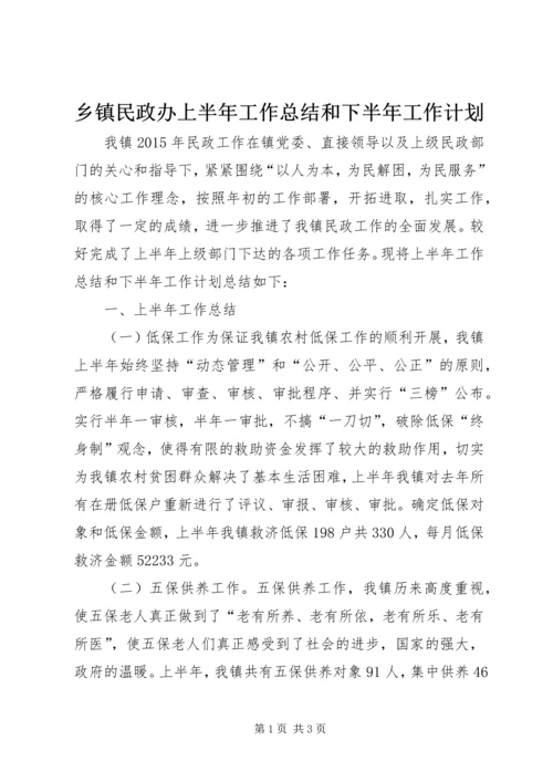 乡镇民政办上半年工作总结和下半年工作计划.docx