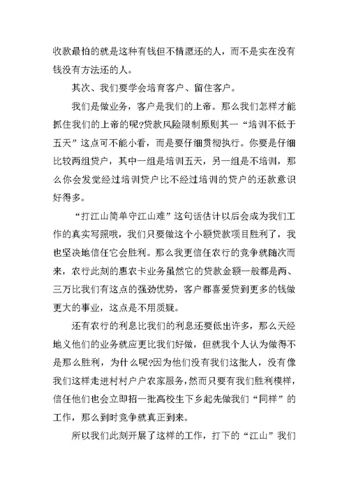 信贷员年终工作总结（10篇）