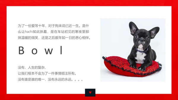丑萌的小狗狗宠物通用PPT模板
