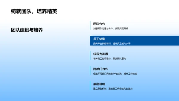 年度总结与未来展望
