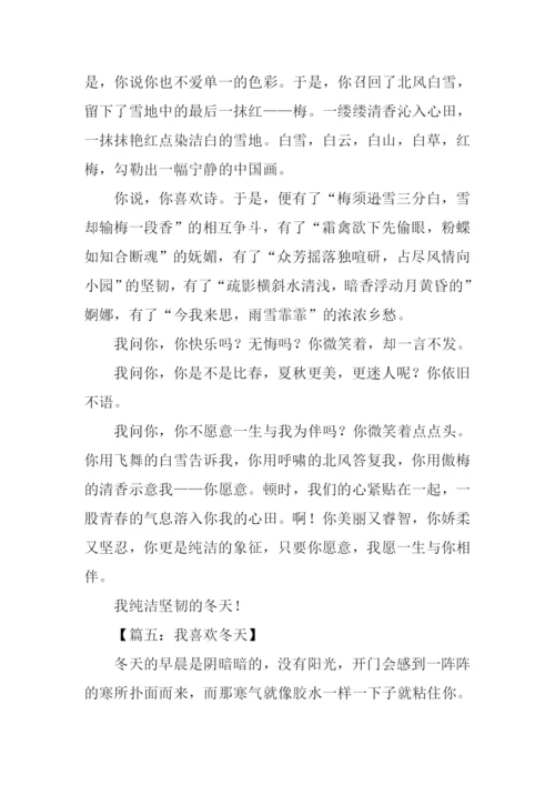 关于冬天的作文300字.docx