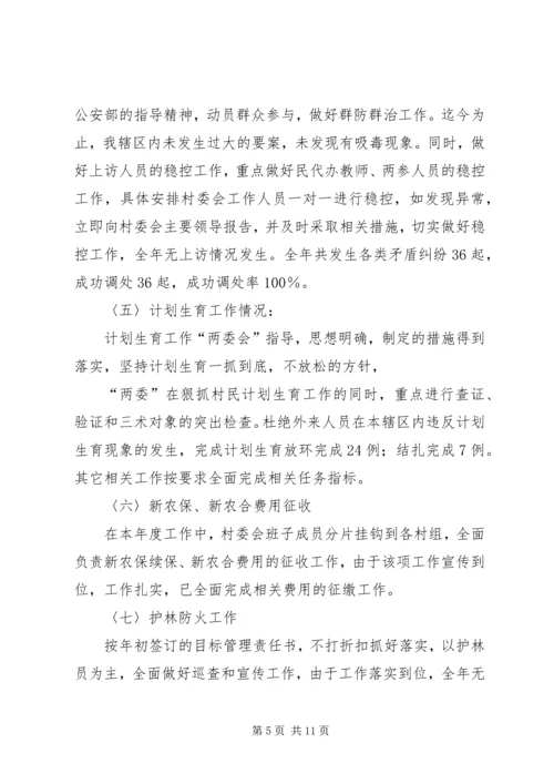 村委会本年度工作总结及工作计划.docx