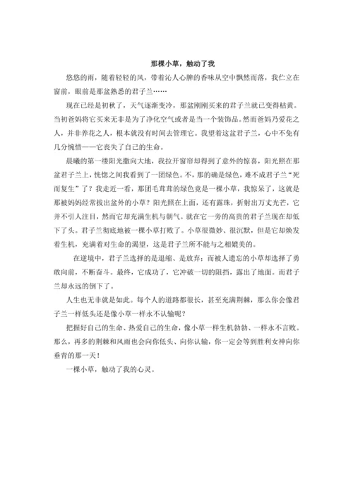 -统编版2024-2025学年语文五年级上册跟着课文学写作：2.落花生 仿写训练  借物喻人  讲义