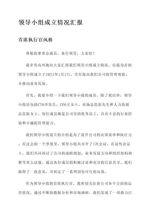 领导小组成立情况汇报