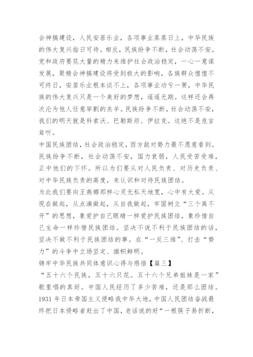 铸牢中华民族共同体意识心得与感悟.docx