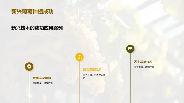 葡萄种植的创新之路