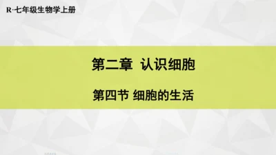 人教版（新课程标准）（2024）1.2.4细胞的生活(共41张PPT)