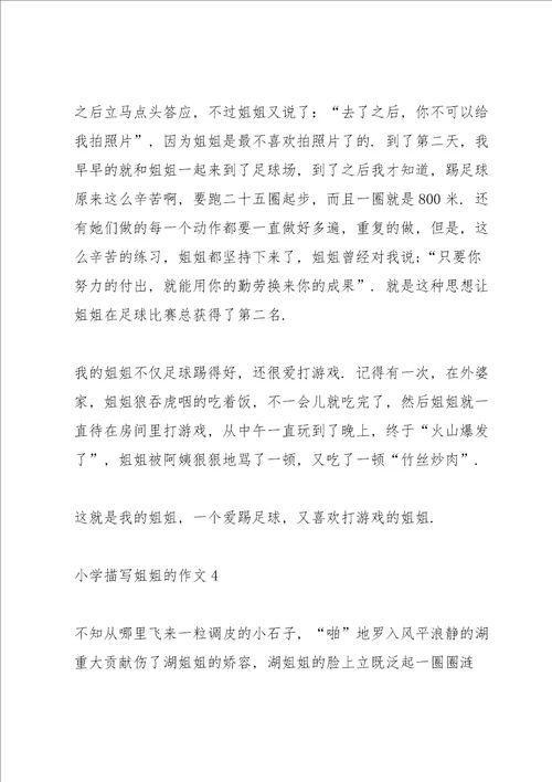 小学描写姐姐的作文7篇