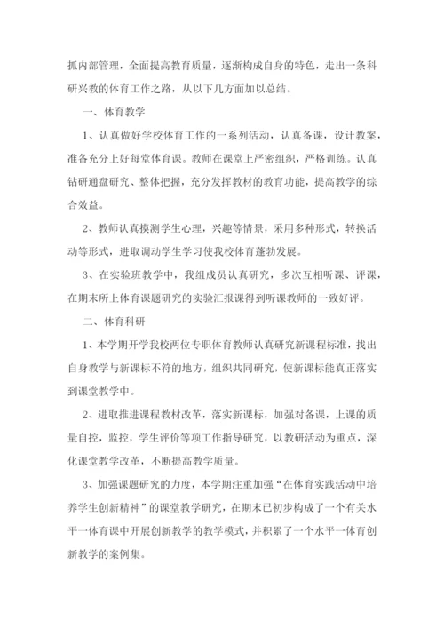体育教师年度考核总结怎样写五篇.docx