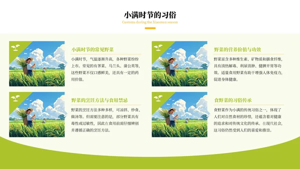 绿色清新风二十四节气之小满PPT模板
