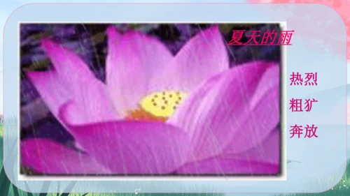 3《雨的四季》课件