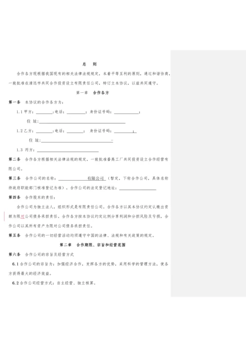 有限责任公司合作协议.docx