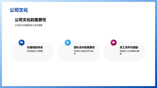 公司总结报告