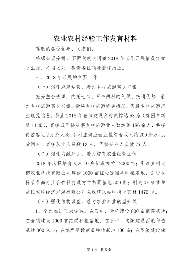 农业农村经验工作发言材料.docx