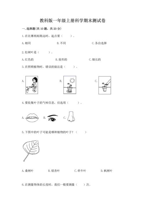 教科版一年级上册科学期末测试卷（典型题）.docx