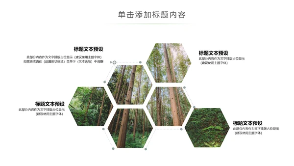绿色森林植树造林林业木材园动态PPT模板