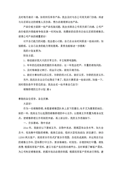 关于销售助理的工作计划模板锦集九篇