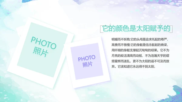 致青春毕业季大学毕业纪念册电子相册动态PPT