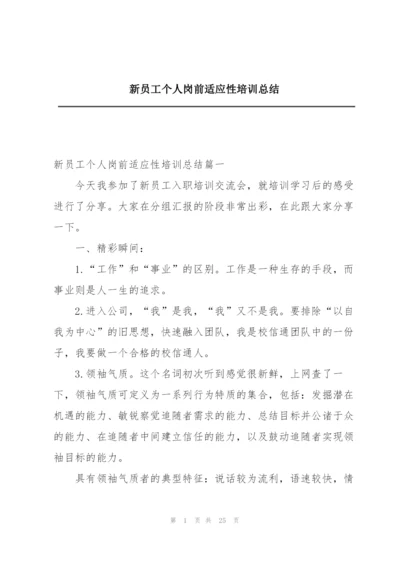 新员工个人岗前适应性培训总结.docx